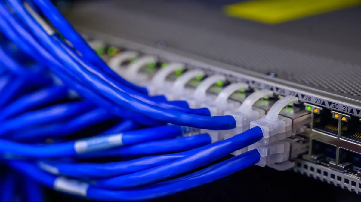 Cables de red Ethernet organizados en patch panel de telecomunicaciones
